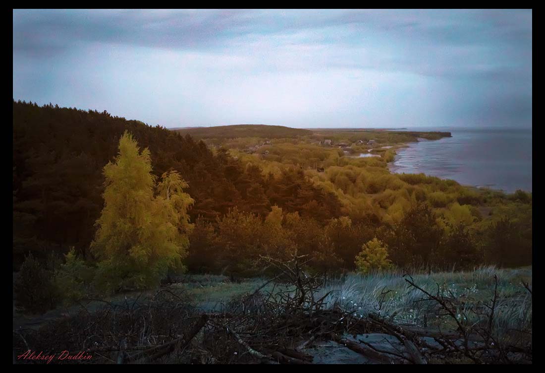 Куршская коса. Вид на п. Морское