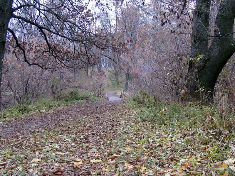 осеннее настроение.