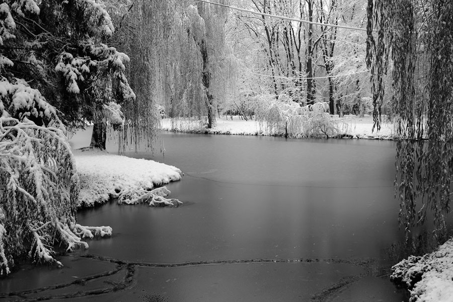 Из цикла &quot;Winter Park&quot;