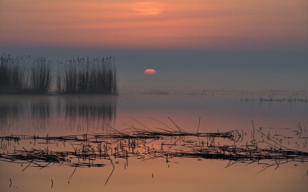 я сюда ещё вернусь...