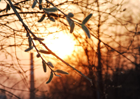 Городской закат