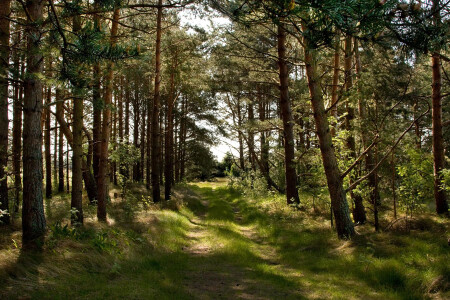 пока весна...