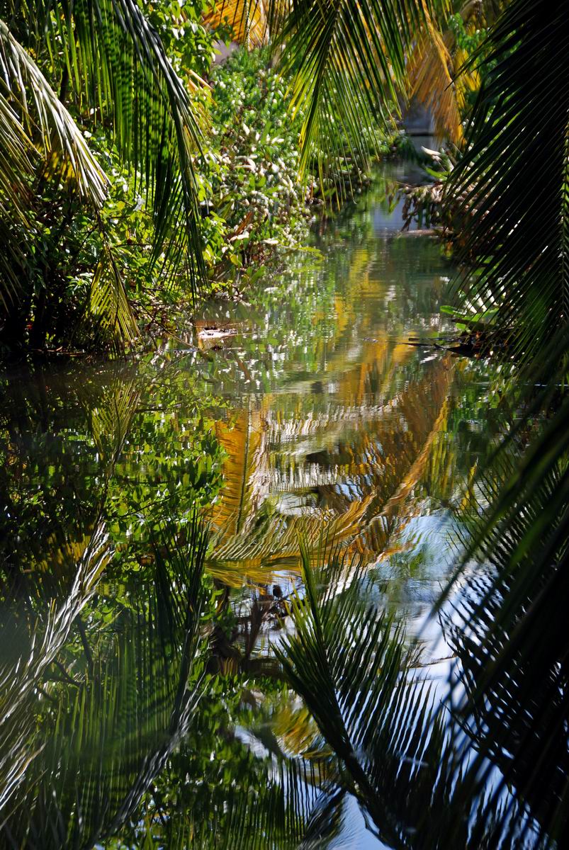 Kerala Backwaters.