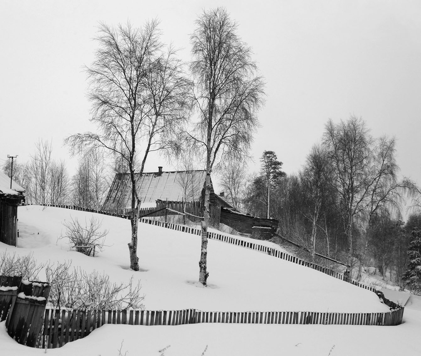 Пейзаж в чёрно-белом