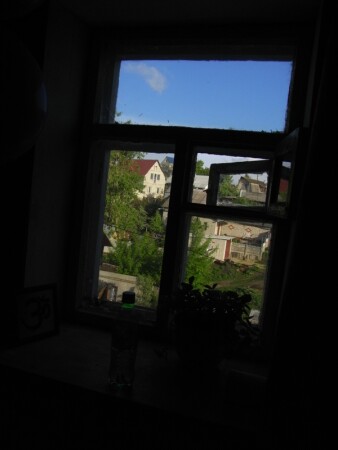 Looking through the window