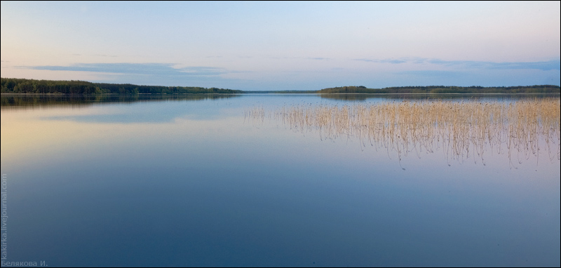 Вечернее