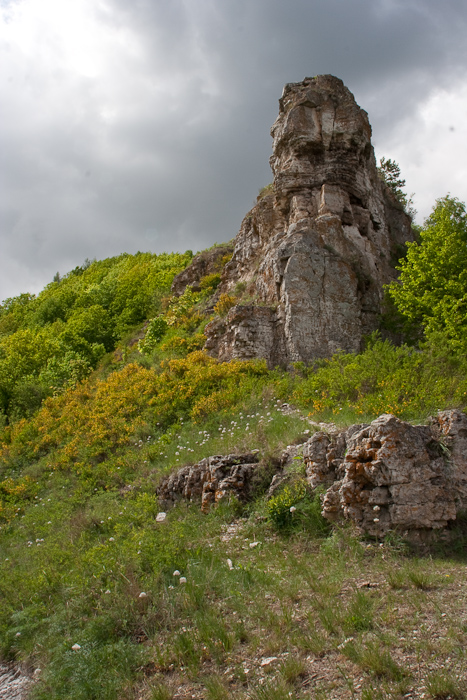 Гора Верблюд