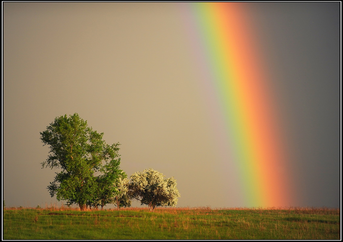 After rain.