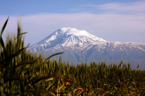 ARARAT