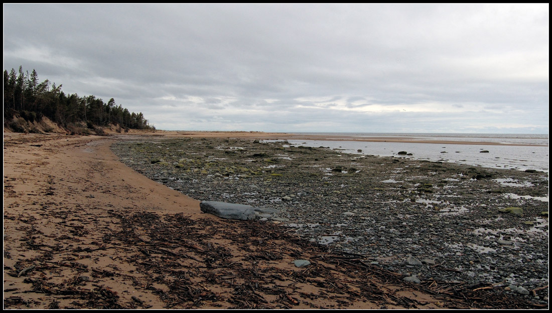 Белое море. Белая ночь