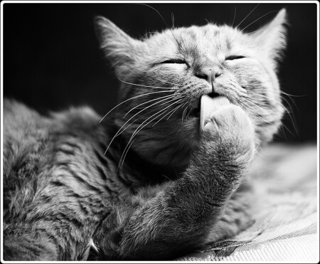 Чистота – залог здоровья