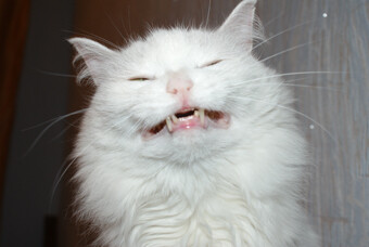 почти &amp;quot;голливудская&amp;quot;:)