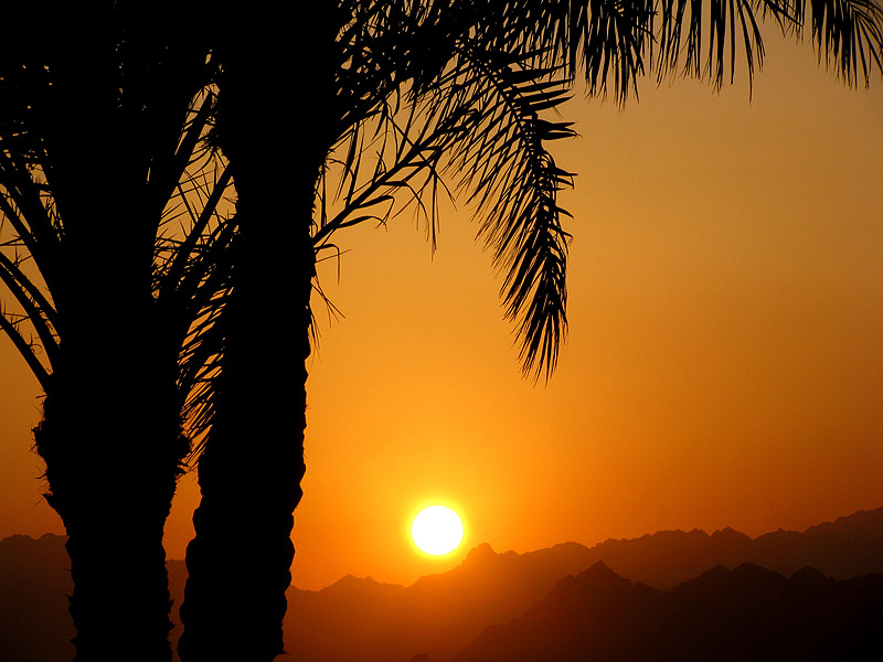 Sunset in Sahara Desert