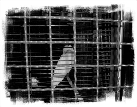 Скромный гаишник...