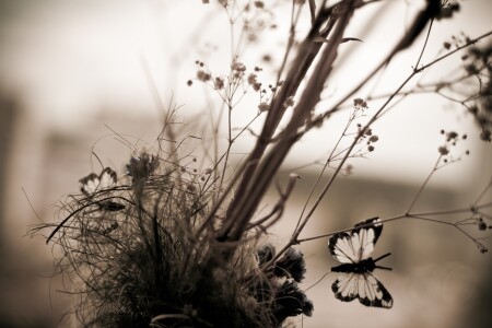 Грустные цветы