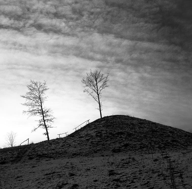 evening silhouettes