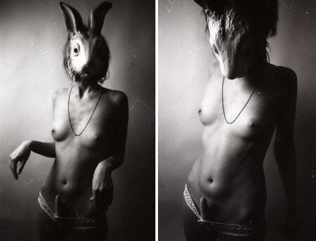 Experimental: Rabbit #1