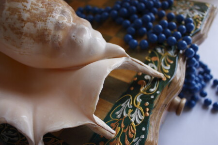 Без названия