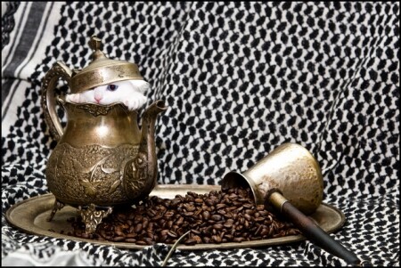 Кофе с молоком