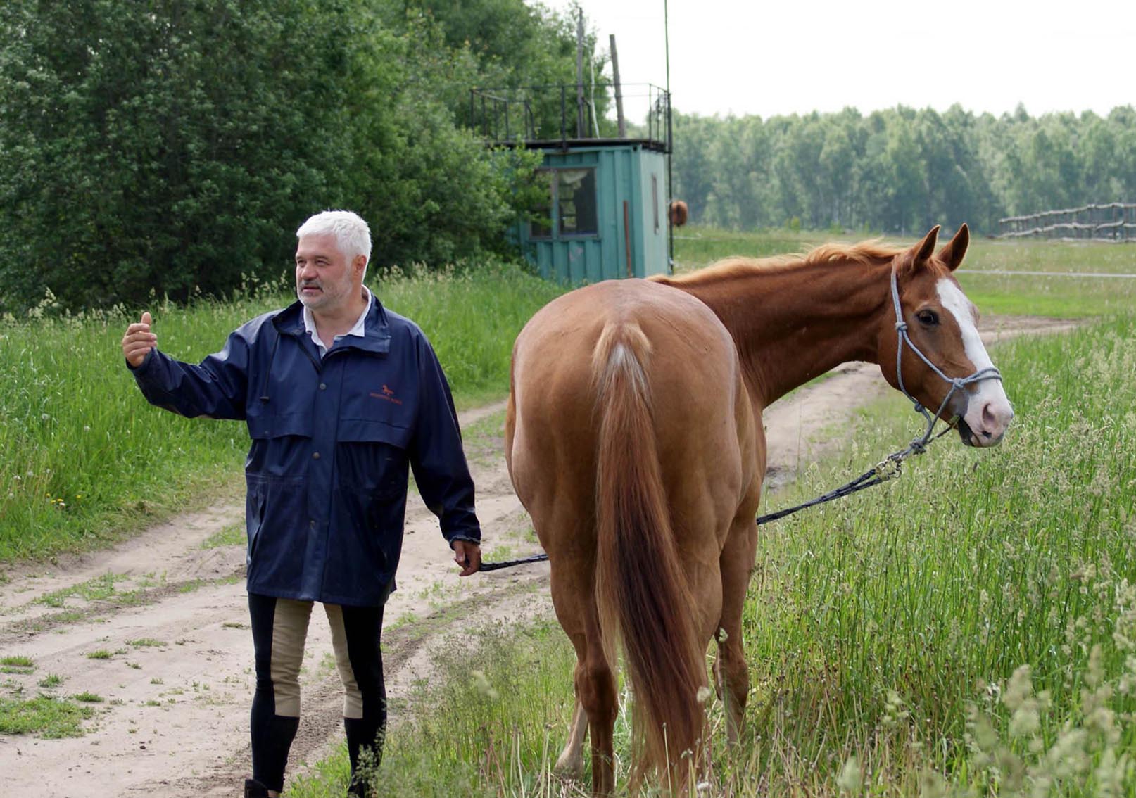 После прогулки