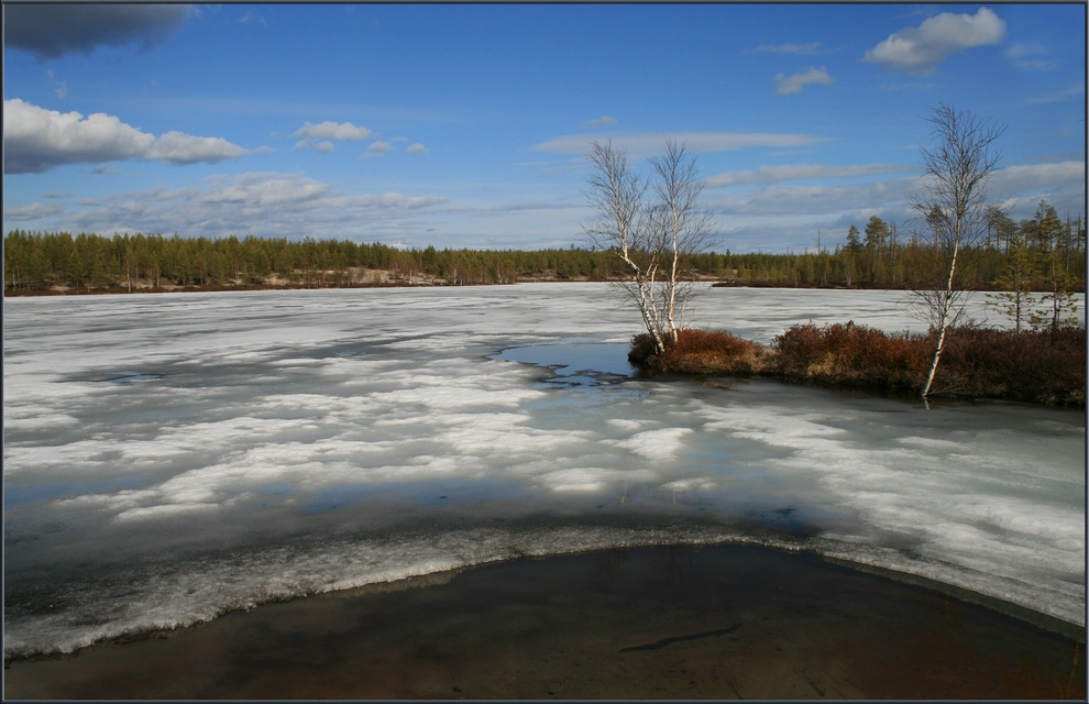 Талые воды