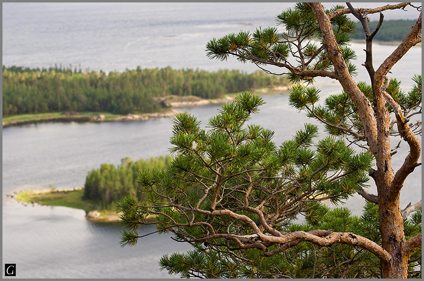 Беломорский мотив