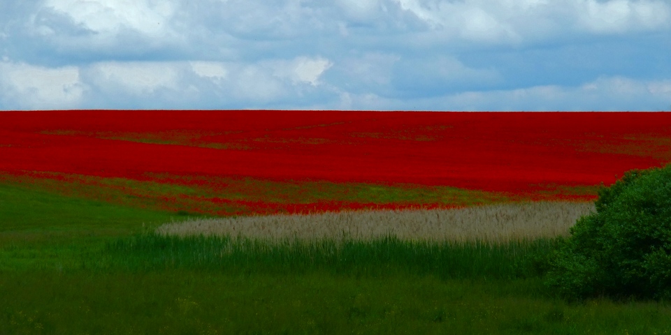 Краски