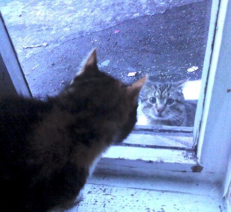 Ромео и Джульетта