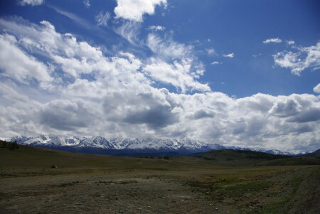 Курайская степь