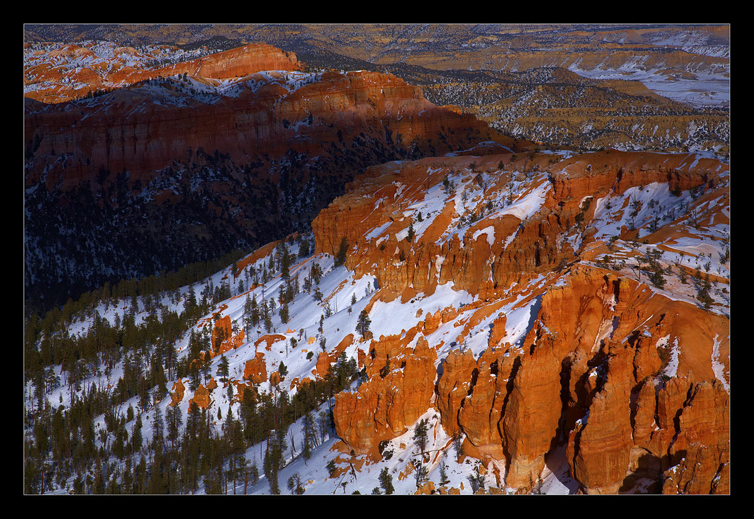 Ponderosa Canyon 