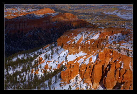 Ponderosa Canyon