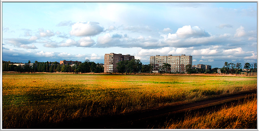 Перед жатвой