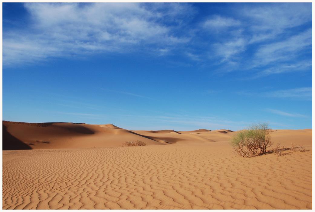 Sahara Sandy Sea 