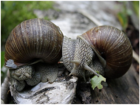 Резкий поворот..