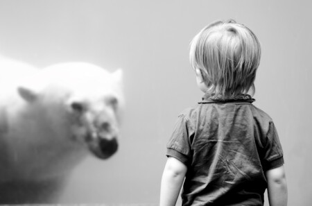 превед, медвед!