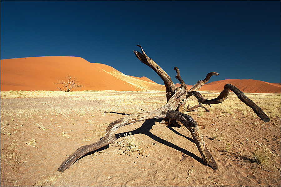 Namib