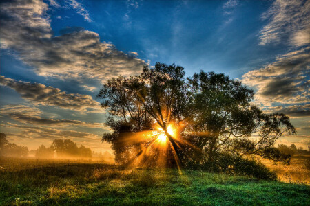 без названия 001