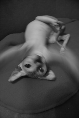 ПОКАТАЮСЯ-ПОВАЛЯЮСЯ