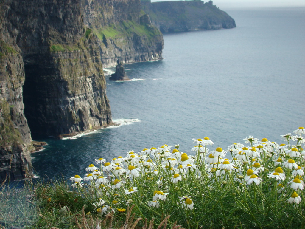 Cliffs of Moher,Ireland