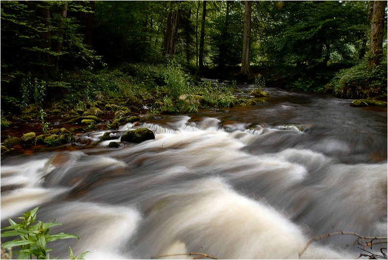 Свежесть воды