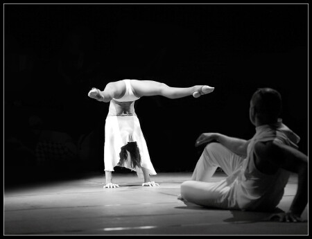"Bingo" Circus