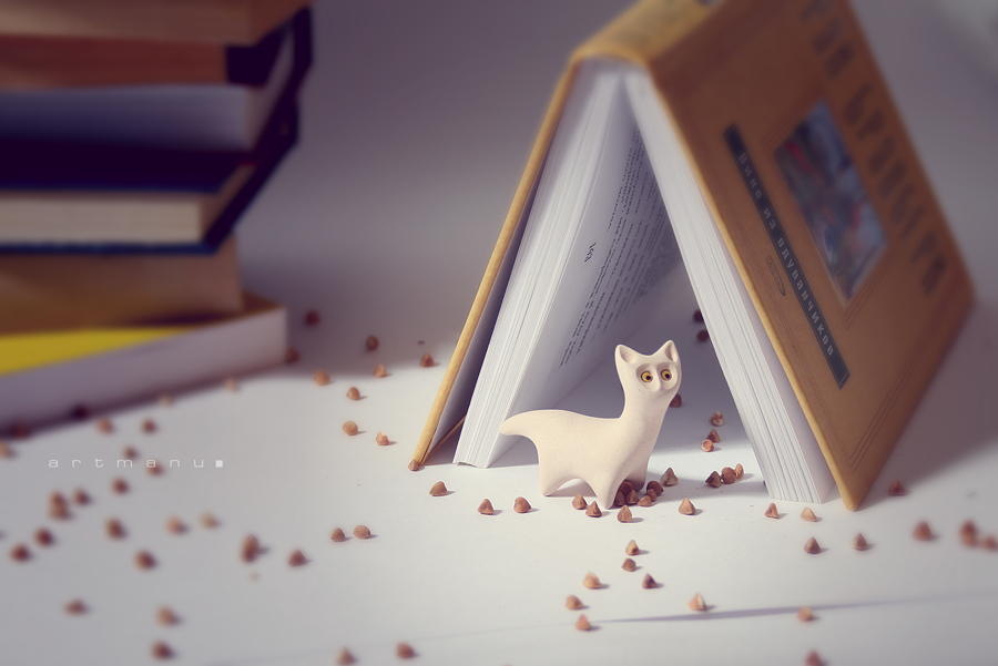 Книжная Кошка