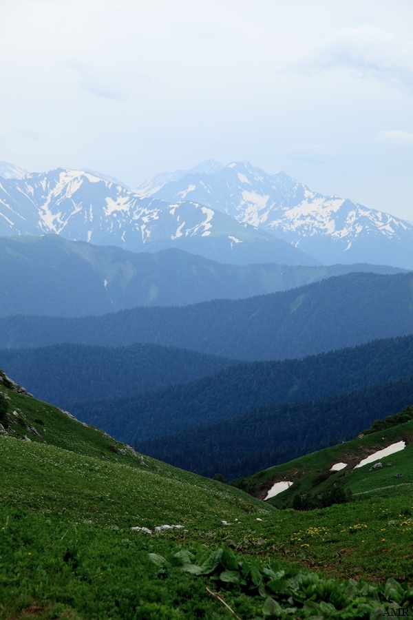 Лето наступает