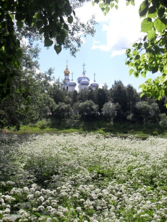 Летняя сказка