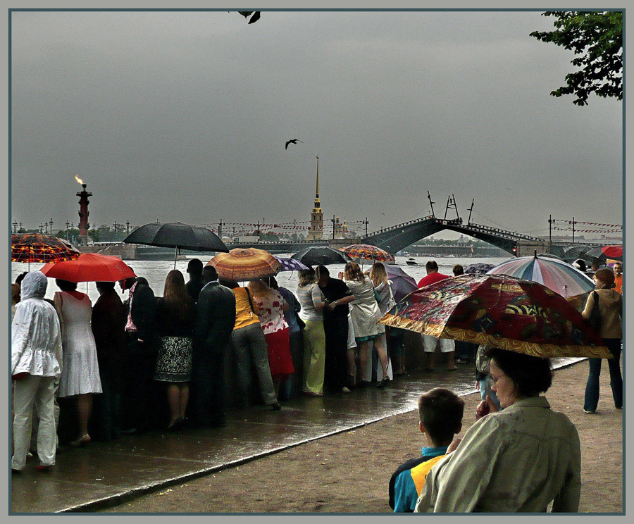 мост и дождь.