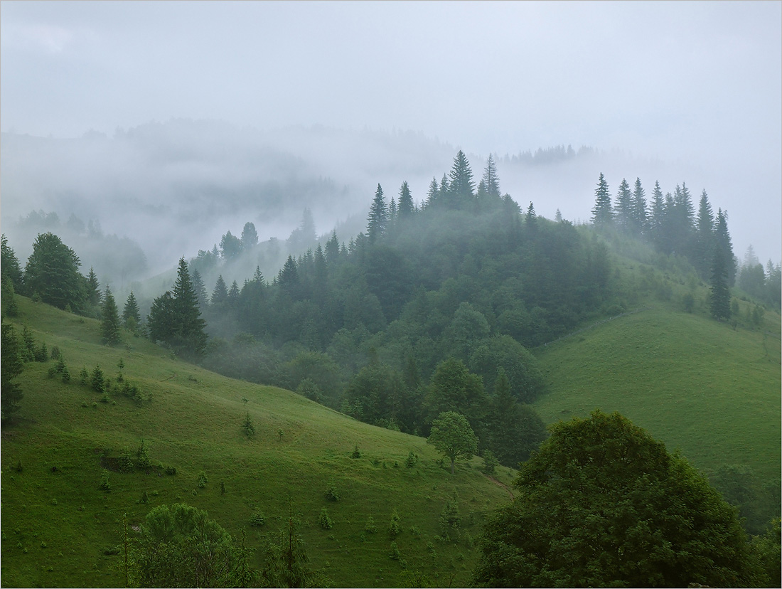 Ранок в Карпатах