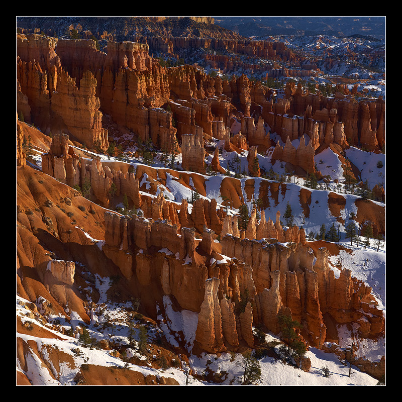 Bryce Hoodoos 