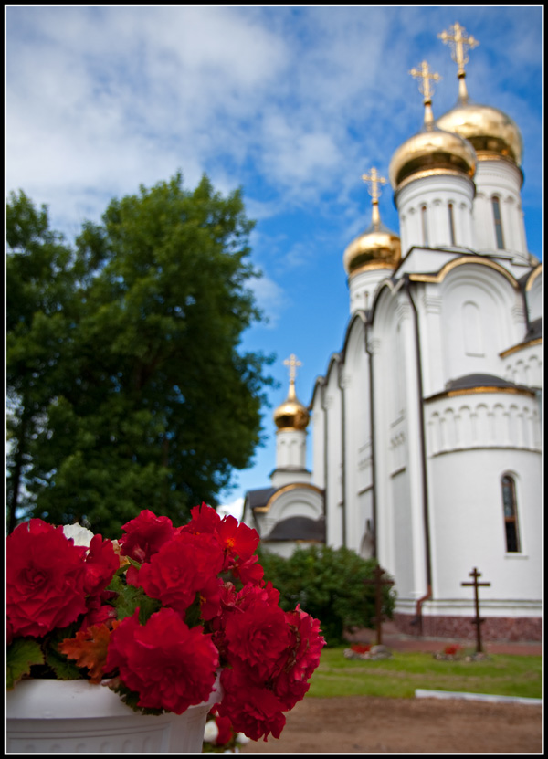 Монастырские цветы