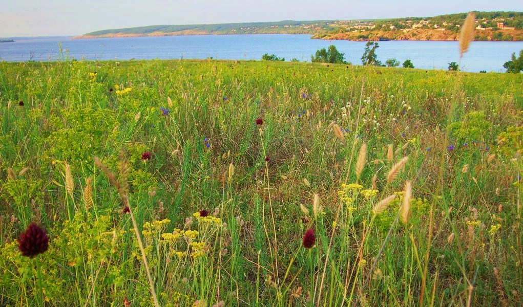 Аромат красоты