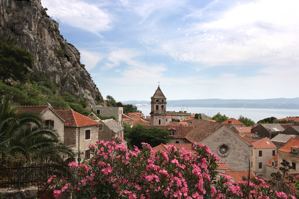 Omis